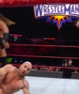 Cesaro_mp40322~0.jpg