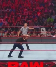 Cesaro_mp40694.jpg