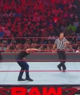 Cesaro_mp40695.jpg