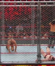 Cesaro_mp40787.jpg