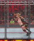 Cesaro_mp40915.jpg