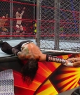 Cesaro_mp41137.jpg
