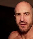 Filename=Cesaro_says_the_WWE_Universe_just_saw_a_UFO-_WWE_Exclusive2C_April_42C_2020_mp41081.jpg
Filesize=214KiB
Dimensions=1280x720
Date added=Apr 05, 2020 Cesaro_says_the_WWE_Universe_just_saw_a_UFO-_WWE_Exclusive2C_April_42C_2020_mp41081.jpg