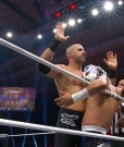 Claudio_Collision_mp41661~0.jpg