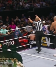 Claudio_Collision_mp41815~0.jpg