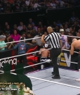 Claudio_Collision_mp41816~0.jpg